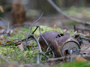 Užstato sistema gali plėstis: planuojama rinkti ir tetrapakus 