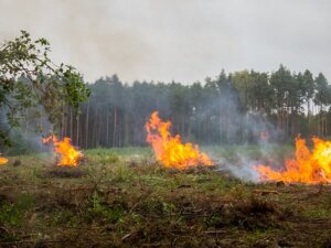 Lietuvių jau negąsdina net baudos: tragiškų gaisrų kaltininkais dažnai tampa jie patys